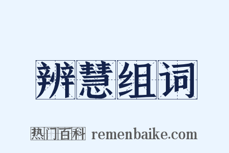 辨慧组词是什么意思的图片